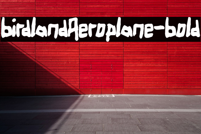 BirdlandAeroplane-Bold फ़ॉन्ट examples