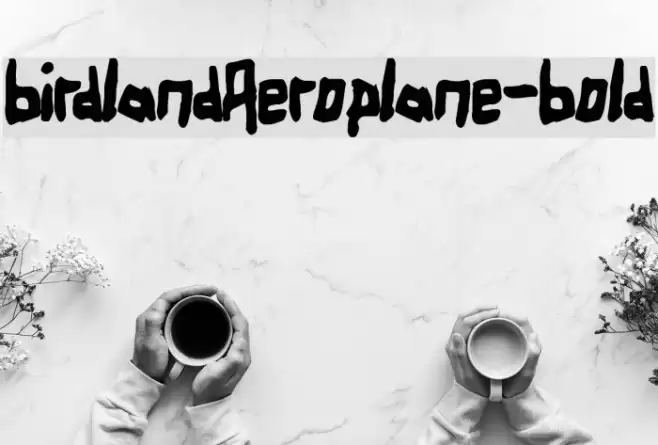 BirdlandAeroplane-Bold Font examples