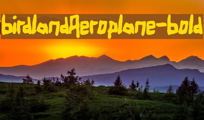 BirdlandAeroplane-Bold Example 2