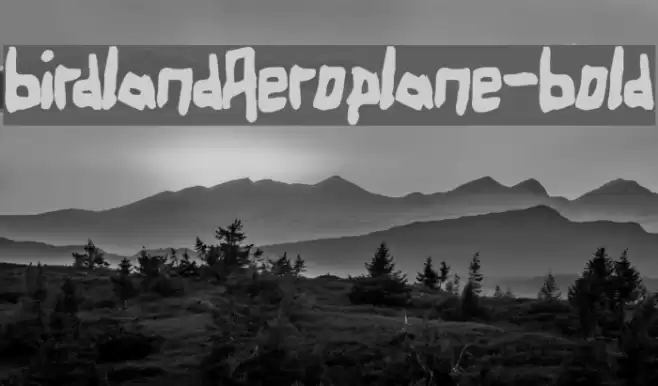 BirdlandAeroplane-Bold Font examples