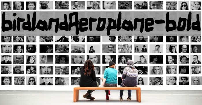 BirdlandAeroplane-Bold Example 3