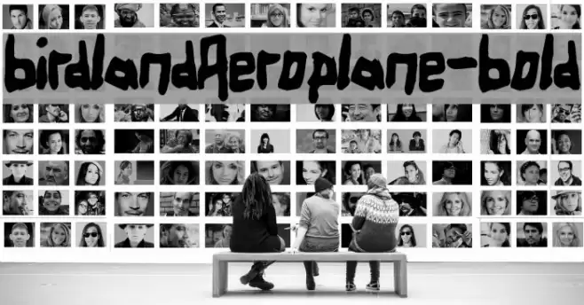 BirdlandAeroplane-Bold Font examples