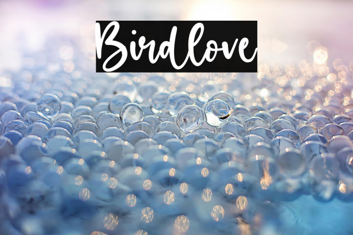 Birdlove Example 1