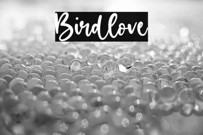 Birdlove Font examples