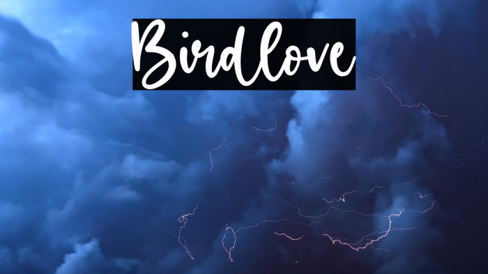 Birdlove Example 3
