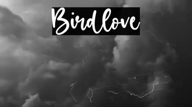 Birdlove Font examples