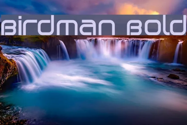 Birdman Bold Example 2