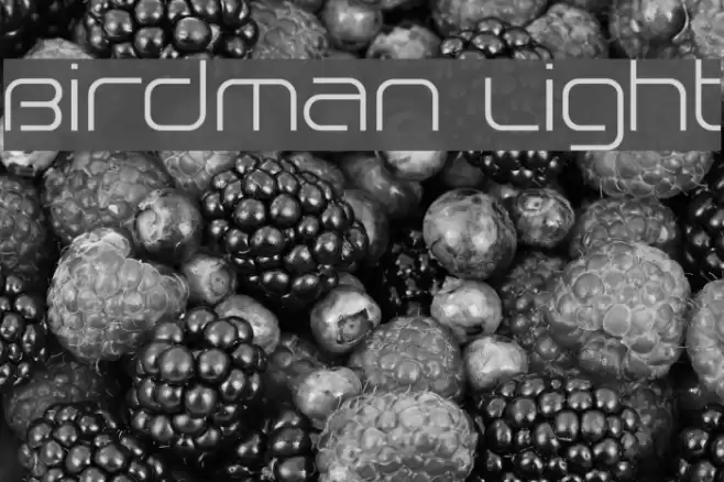 Birdman Light Font examples