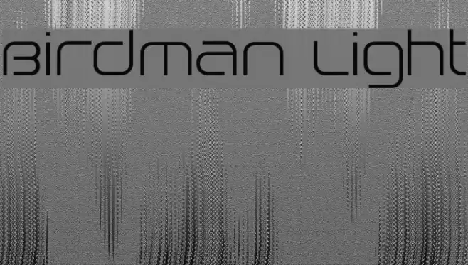 Birdman Light Font examples