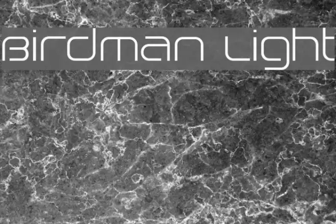 Birdman Light Font examples