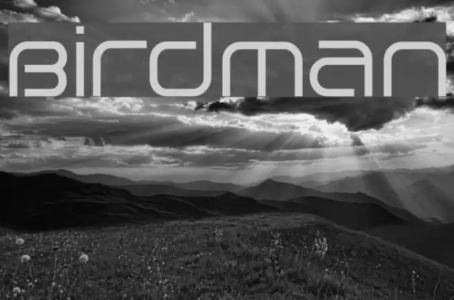 Birdman Font examples