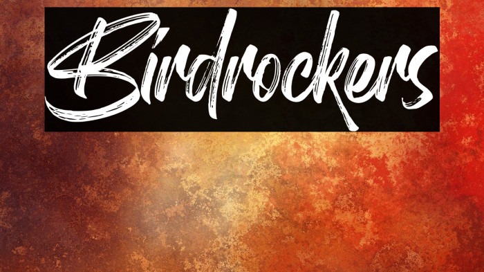 Birdrockers Font examples