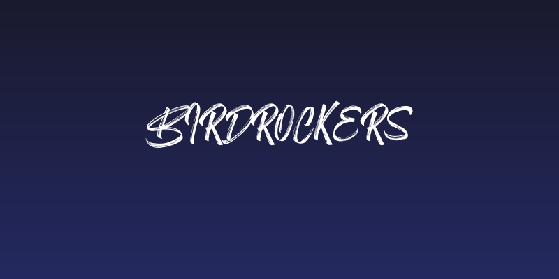 Birdrockers Social Header