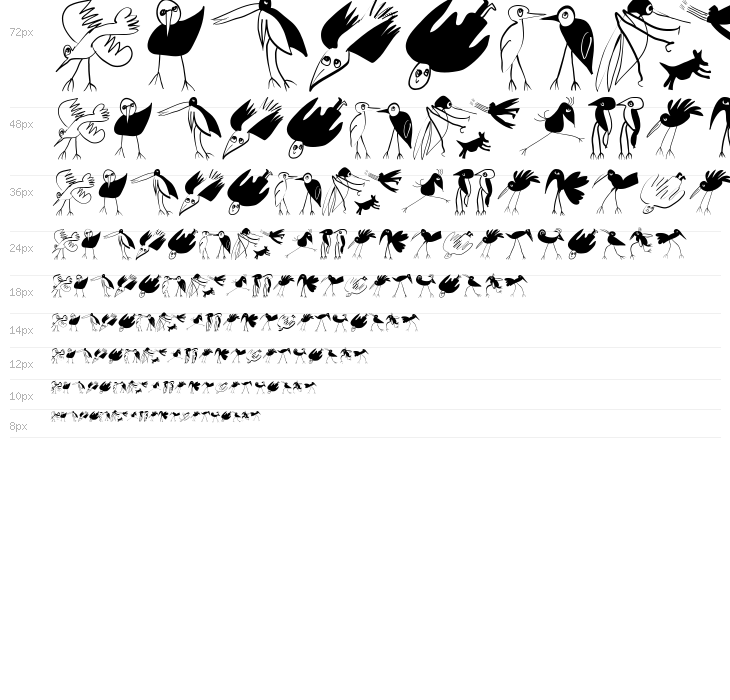 Birds-Relaunch Waterfall