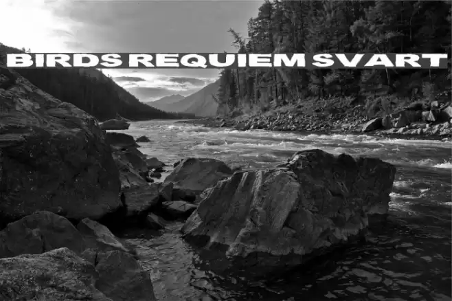 Birds Requiem Svart Font examples