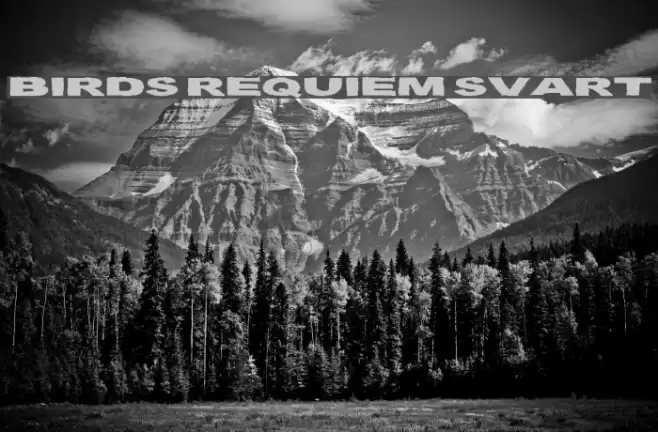 Birds Requiem Svart Font examples