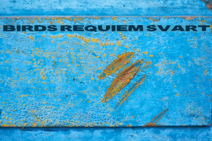 Birds Requiem Svart Example 1