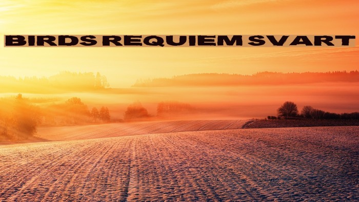 Birds Requiem Svart Example 2