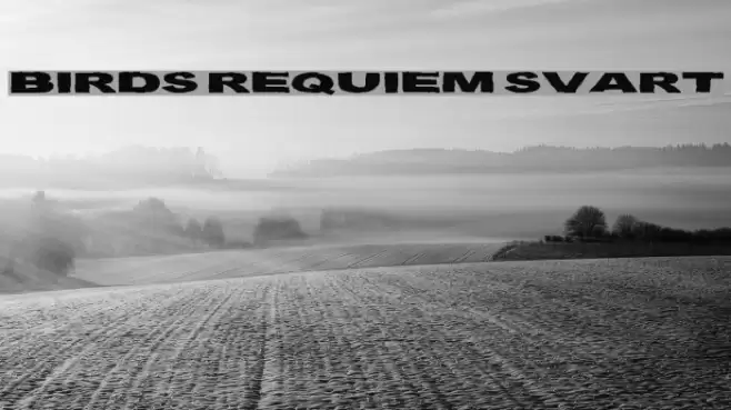 Birds Requiem Svart Font examples