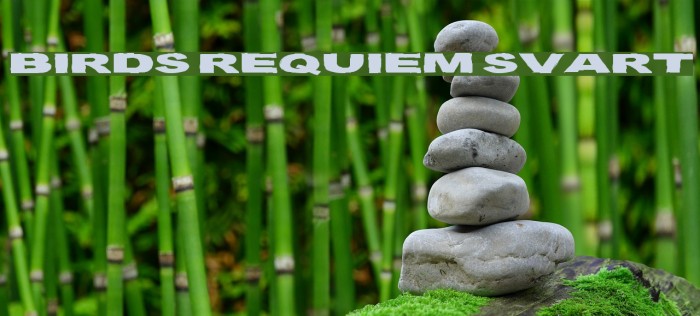 Birds Requiem Svart Example 3