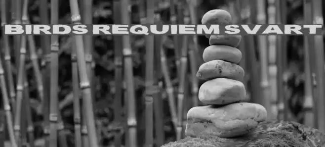 Birds Requiem Svart Font examples