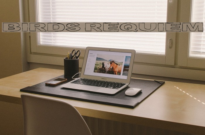Birds Requiem Font examples