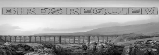Birds Requiem Font examples