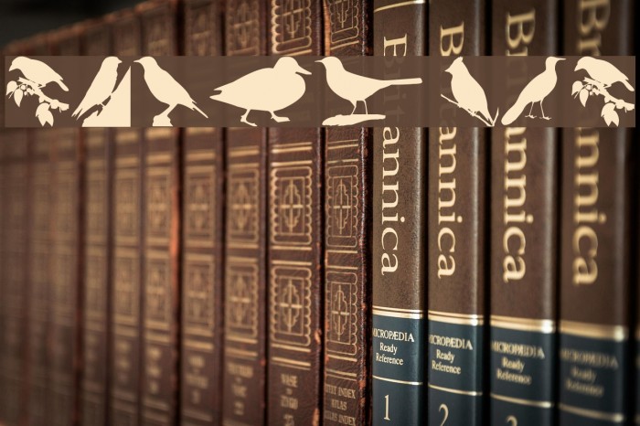 Birds TFB Font examples