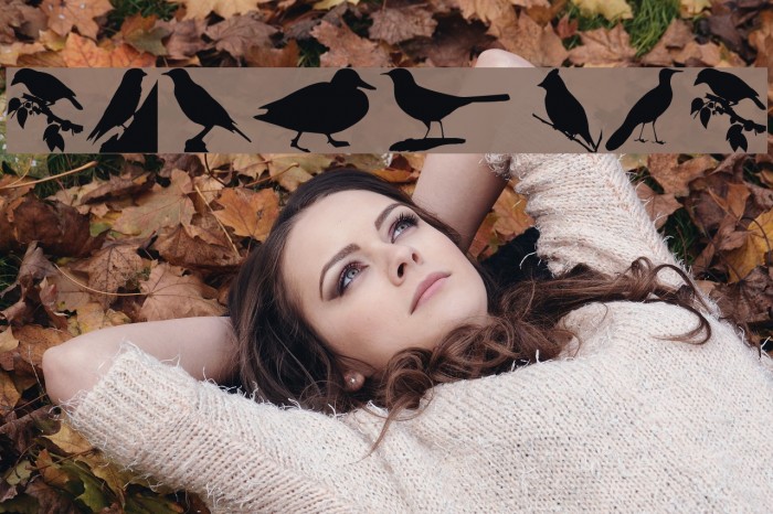 Birds TFB Font examples