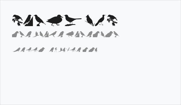 Birds TFB Business Card