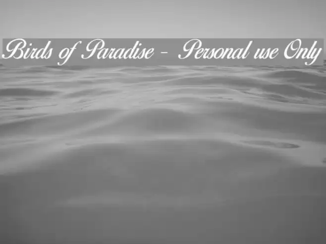 Birds of Paradise - Personal use Only Font examples