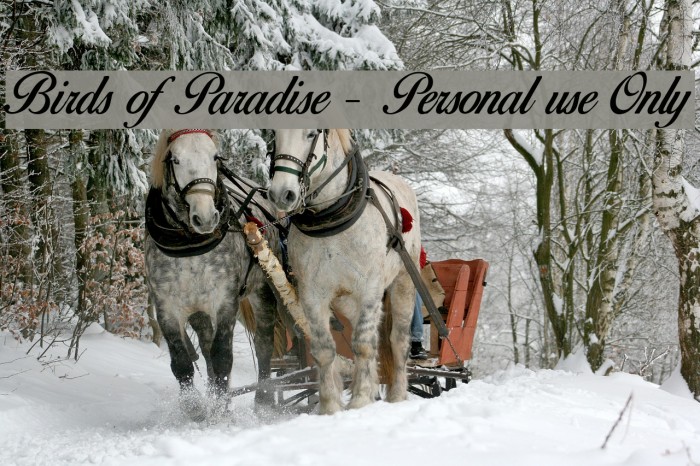 Birds of Paradise - Personal use Only Example 2