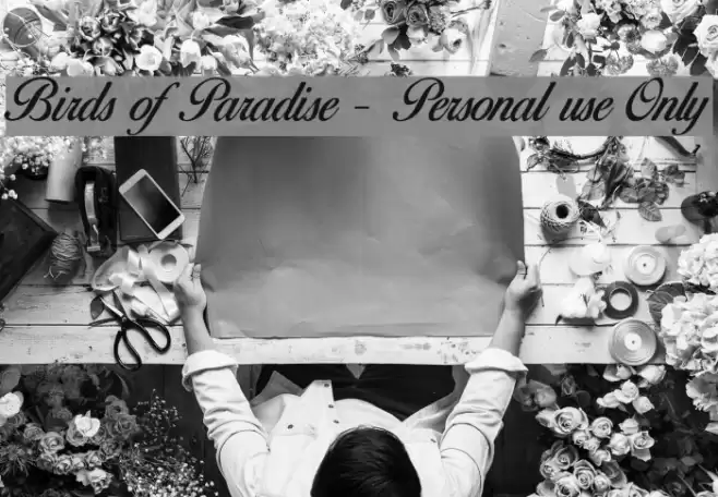 Birds of Paradise - Personal use Only Font examples