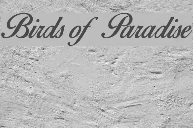 Birds of Paradise Font examples