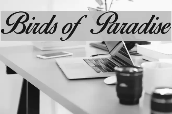 Birds of Paradise Font examples
