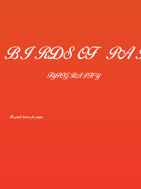 Birds of Paradise Poster