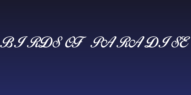 Birds of Paradise Social Header