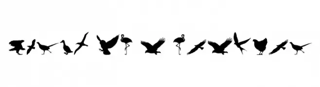 Birds of a Feather  免费字体下载