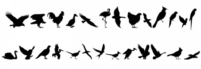 Birds of a Feather フォント 大文字
