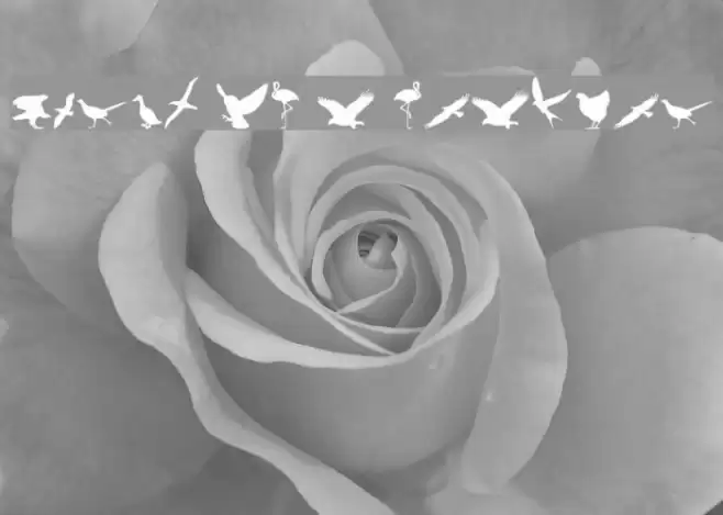Birds of a Feather Font examples