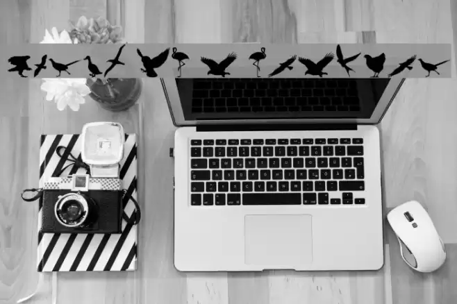 Birds of a Feather Font examples