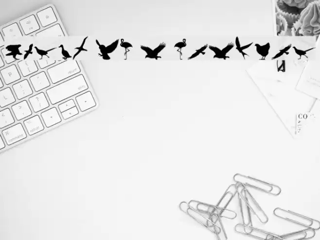 Birds of a Feather Font examples