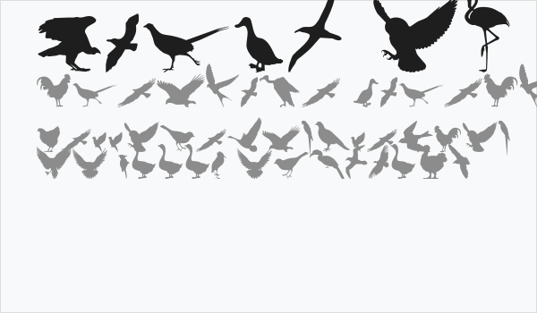 Birds of a Feather Business Card