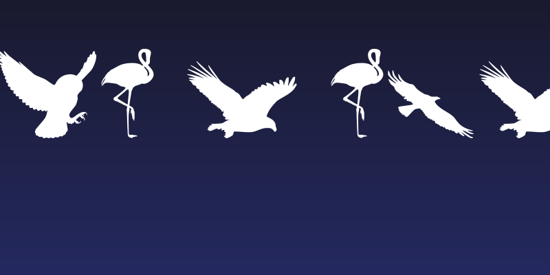 Birds of a Feather Social Header