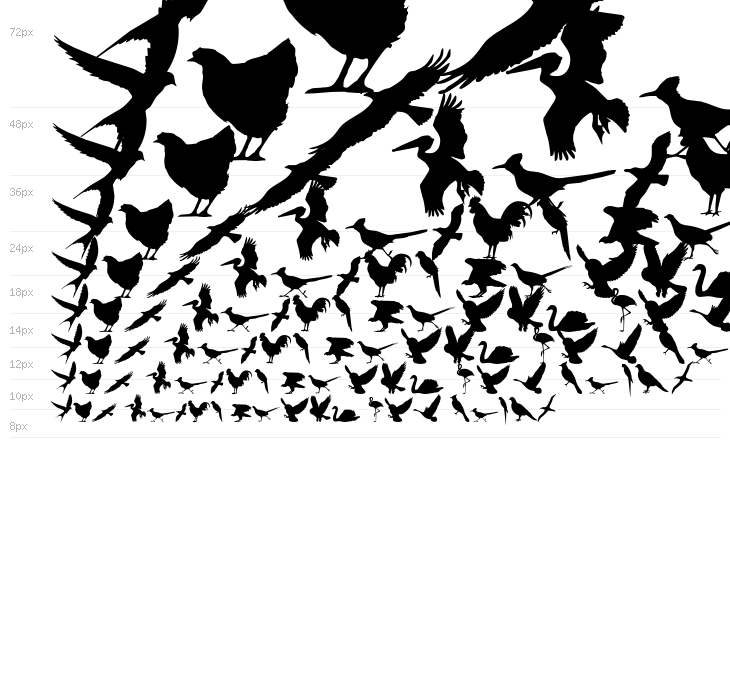 Birds of a Feather Waterfall