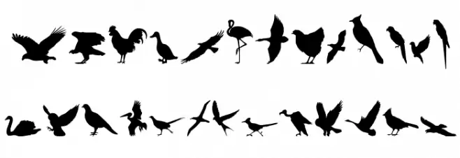 Birds of a Feather 字体 小写