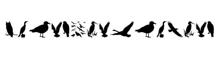 BirdsAndFriends  font caratteri gratis