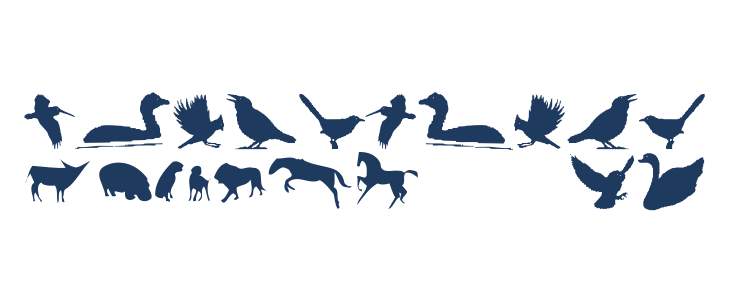 BirdsAndFriends Other Characters