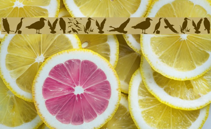 BirdsAndFriends Example 2