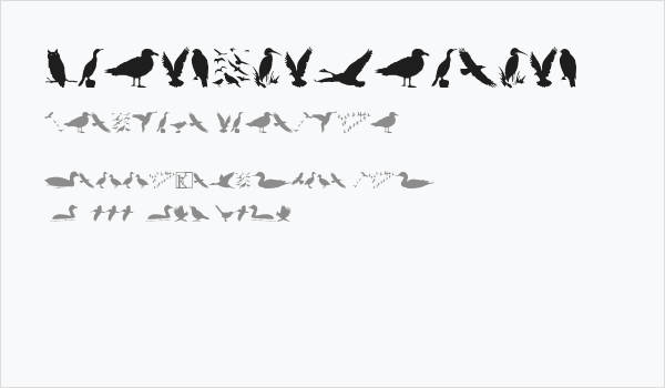 BirdsAndFriends Business Card